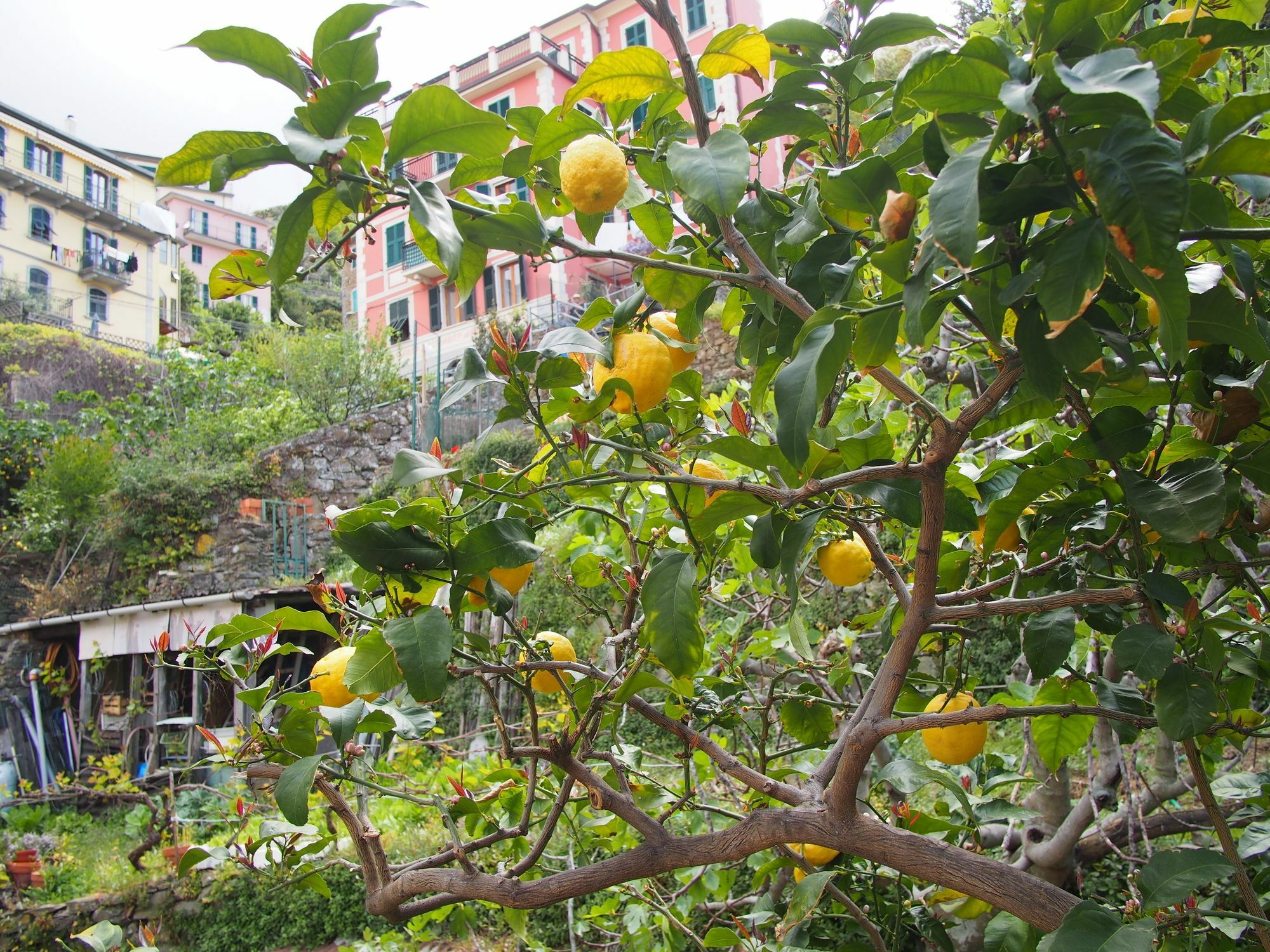 Ciao Bella Rainbow Hotel Riomaggiore Kültér fotó